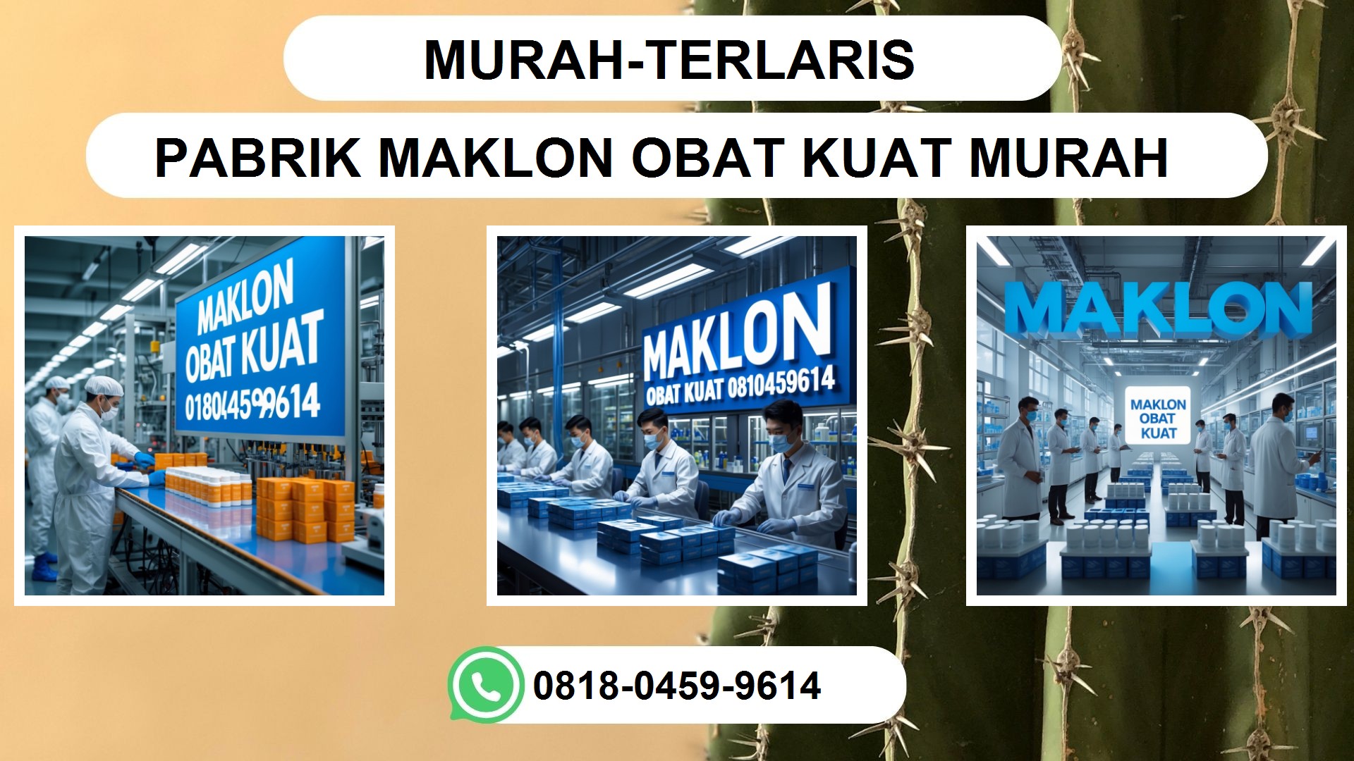 Jasa Maklon Obat Kuat Murah untuk Solusi Kesehatan